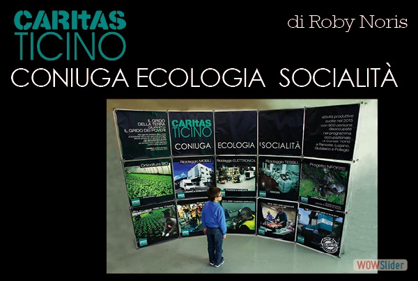 Roby Noris CATI ecologia_socialità